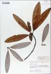 TTRS_000007674-thumbnail.jpg