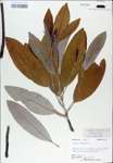 TTRS_000007675-thumbnail.jpg
