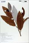 TTRS_000007676-thumbnail.jpg