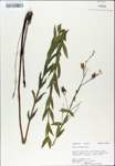 TTRS_000007722-thumbnail.jpg