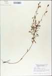 TTRS_000007726-thumbnail.jpg