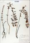 TTRS_000007728-thumbnail.jpg