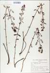 TTRS_000007729-thumbnail.jpg