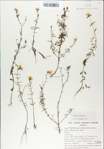 TTRS_000007733-thumbnail.jpg