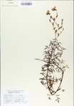 TTRS_000007735-thumbnail.jpg