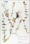 TTRS_000007738-thumbnail.jpg