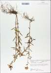 TTRS_000007740-thumbnail.jpg