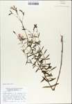 TTRS_000007743-thumbnail.jpg