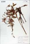 TTRS_000007745-thumbnail.jpg