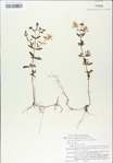 TTRS_000007753-thumbnail.jpg