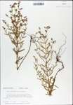 TTRS_000007763-thumbnail.jpg