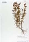 TTRS_000007764-thumbnail.jpg