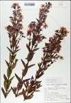 TTRS_000007767-thumbnail.jpg