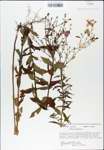 TTRS_000007771-thumbnail.jpg