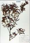 TTRS_000007806-thumbnail.jpg