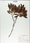 TTRS_000007807-thumbnail.jpg