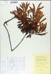 TTRS_000007812-thumbnail.jpg