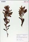 TTRS_000007814-thumbnail.jpg