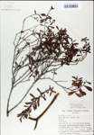 TTRS_000007816-thumbnail.jpg