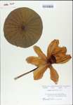 TTRS_000007841-thumbnail.jpg