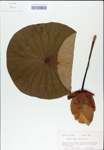 TTRS_000007842-thumbnail.jpg