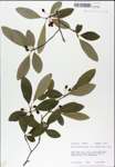 TTRS_000007857-thumbnail.jpg