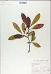 TTRS_000007858-thumbnail.jpg
