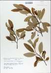 TTRS_000007859-thumbnail.jpg