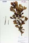 TTRS_000007863-thumbnail.jpg