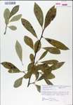 TTRS_000007864-thumbnail.jpg