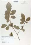 TTRS_000007875-thumbnail.jpg
