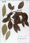 TTRS_000007877-thumbnail.jpg