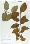 TTRS_000007931-thumbnail.jpg