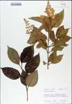 TTRS_000007932-thumbnail.jpg