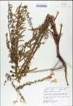 TTRS_000008065-thumbnail.jpg