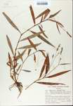 TTRS_000008357-thumbnail.jpg