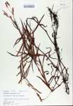 TTRS_000008363-thumbnail.jpg