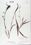 TTRS_000008367-thumbnail.jpg