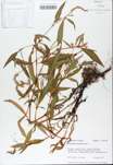 TTRS_000008370-thumbnail.jpg