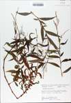 TTRS_000008379-thumbnail.jpg