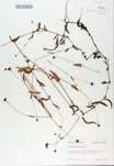 TTRS_000008382-thumbnail.jpg
