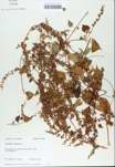 TTRS_000008385-thumbnail.jpg