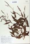 TTRS_000008389-thumbnail.jpg