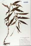 TTRS_000008390-thumbnail.jpg
