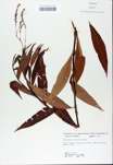 TTRS_000008391-thumbnail.jpg