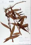 TTRS_000008392-thumbnail.jpg