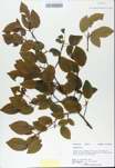 TTRS_000008566-thumbnail.jpg