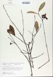 TTRS_000008582-thumbnail.jpg