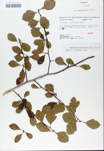 TTRS_000008600-thumbnail.jpg