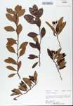 TTRS_000008604-thumbnail.jpg